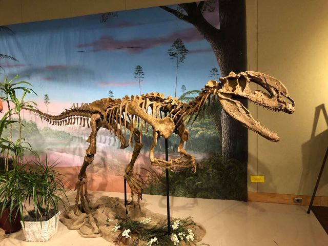 32151652_10106424810420428_1979917122444197888_n