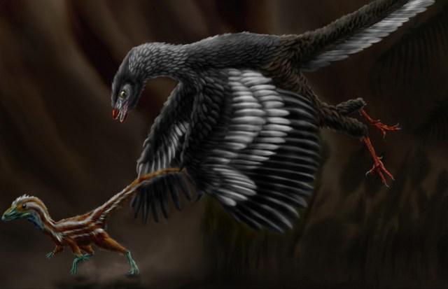 Archaeopteryx